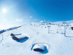 Quiet holiday flat near the Mayrhofen ski area